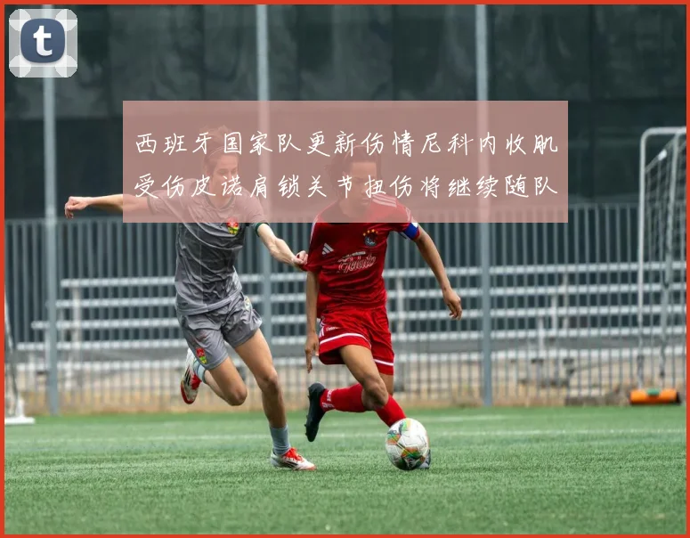 西班牙国家队更新伤情尼科内收肌受伤皮诺肩锁关节扭伤将继续随队训练