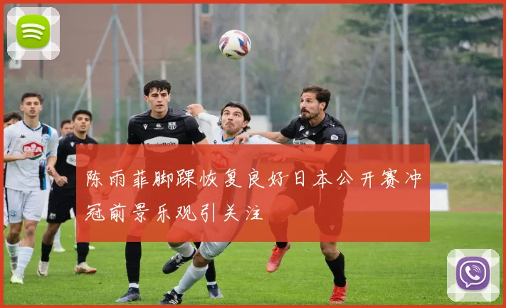 陈雨菲脚踝恢复良好日本公开赛冲冠前景乐观引关注