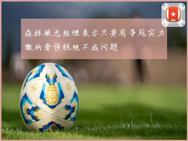 森林狼总经理表示只要有争冠实力缴纳奢侈税绝不成问题